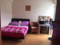 Estella Gardens (D17), Condominium #178304312